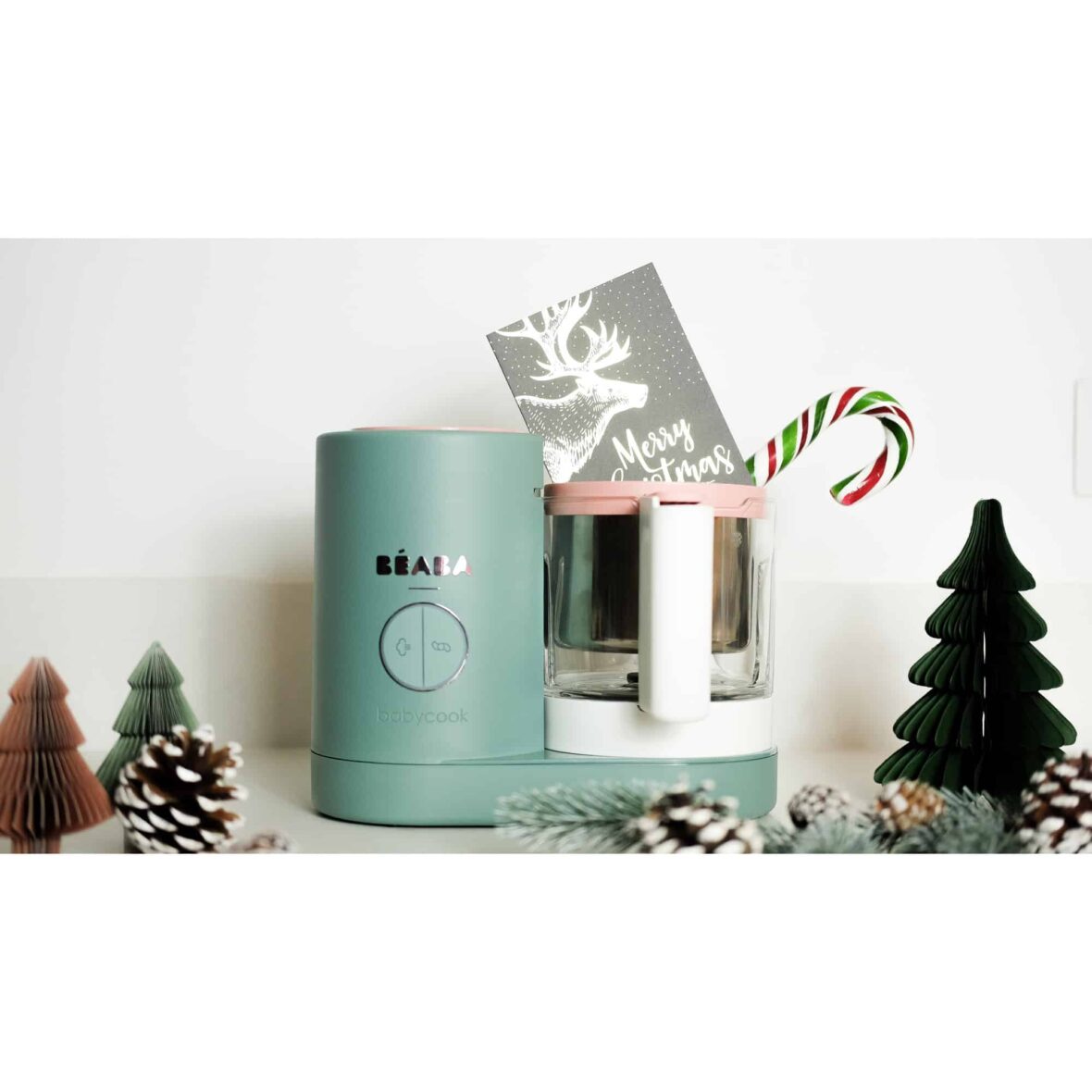 bebemaman-beaba-robot-4-en-1-beaba-babycook-neo-5