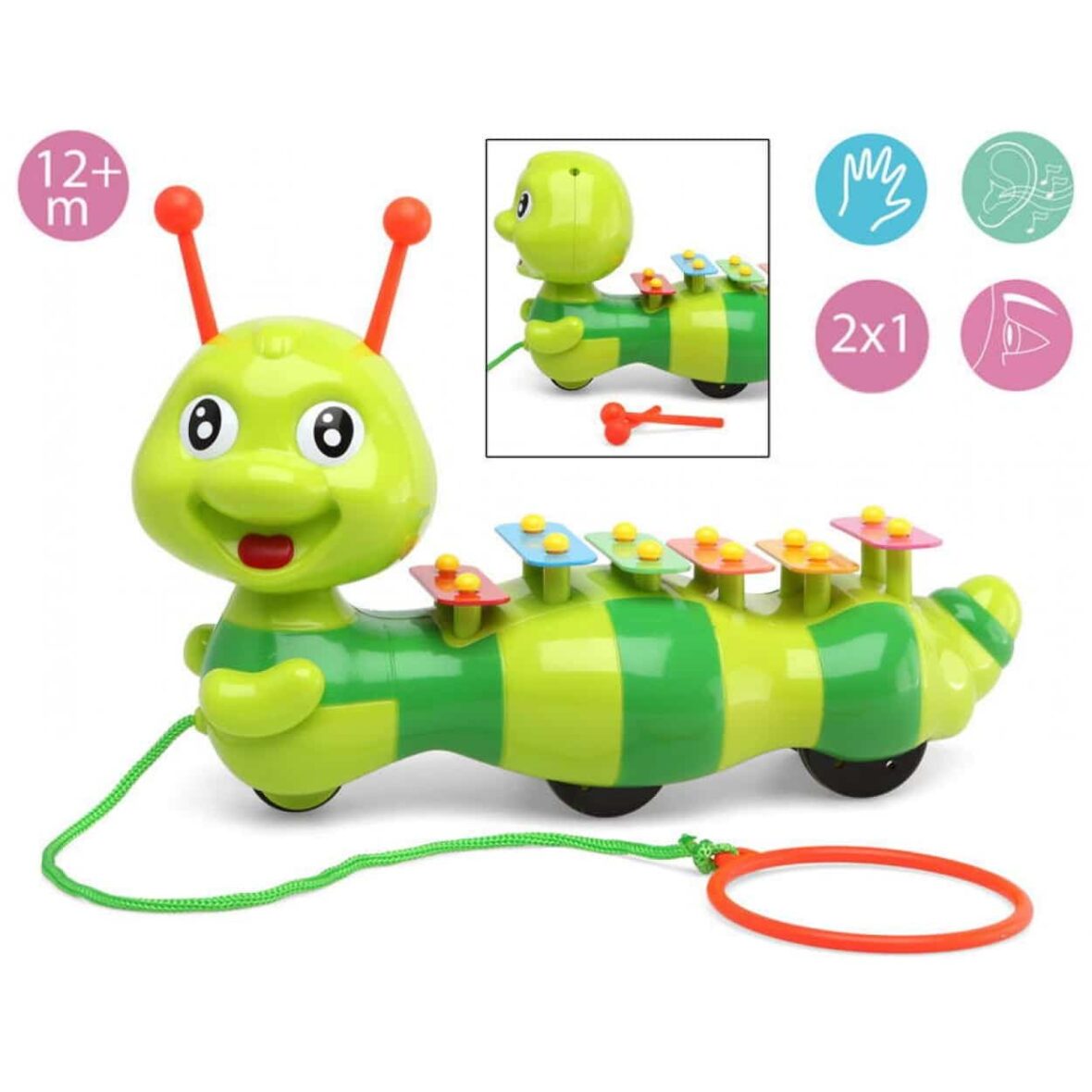 Kiokids Mon premier Xylophone 2 en 1