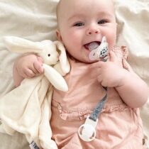 6_fb176713-dfca-42e5-ae9a-3970f4e371ae