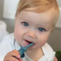 Brosse à dents éléphant bleu Dr. Brown - bebemaman