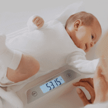 Retrouvez Lionelo Pèse bébé multifonction Babybalance aux meilleurs prix sur Bebemaman.ma . Livraison à domicile partout au Maroc. Paiement à la livraison.