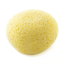 Thermobaby Eponge synthétique hydrophilée