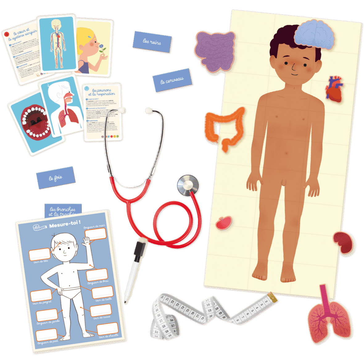 Bebemaman Nathan Au rythme de l’enfant Le Corps Humain 1