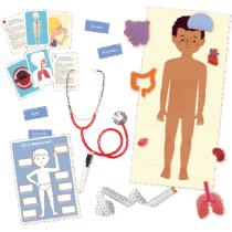 Retrouvez Nathan Au rythme de l’enfant Le Corps Humain aux meilleurs prix sur Bebemaman.ma . Livraison à domicile partout au Maroc. Paiement à la livraison.