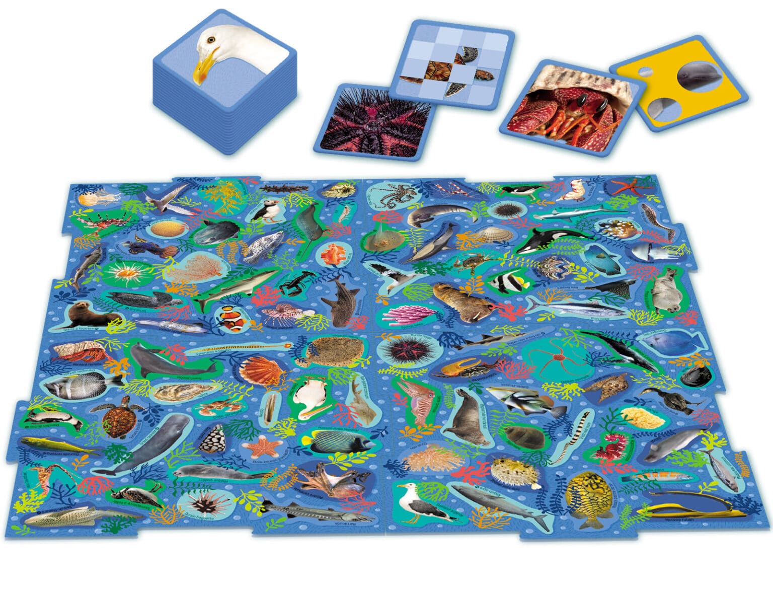 Bebemaman Nathan Mission animaux Les océans – Cherche et Trouve 1