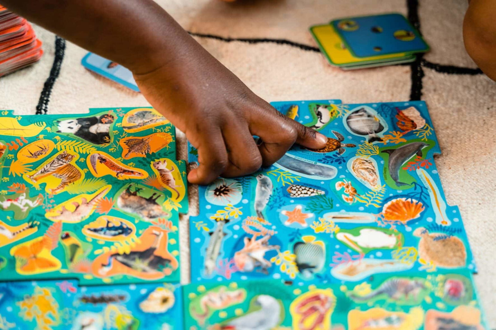 Bebemaman Nathan Mission animaux de la jungle – Cherche et Trouve 2