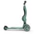 Retrouvez Scoot And Ride Trottinette 2en1 Highwaykick 1 Lifestyle - Forest aux meilleurs prix sur Bebemaman.ma . Livraison à domicile partout au Maroc.