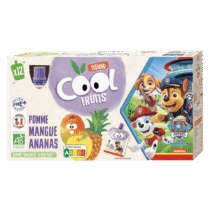cool-fruits-la-pat-patrouille-pomme-mangue-ananas