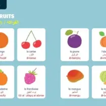 Retrouvez Mon gros imagier Français-Arabe aux meilleurs prix sur Bebemaman.ma . Livraison à domicile partout au Maroc. Paiement à la livraison.