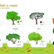 Avec Mon imagier de la nature Montessori, accompagnez les enfants dans leur découverte du vivant à travers plus de 150 mots illustrés selon la méthode Montessori.