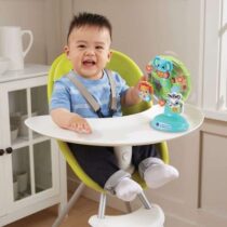 Stimulez l'éveil de votre bébé avec la grande roue des Baby Loulous de VTech : sons, lumières et apprentissage des animaux dès 6 mois.