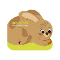 Un adorable livre pour bébé sur l’arrivée de petits lapins dans la ferme. Histoire douce, pages solides, idéal dès 12 mois.