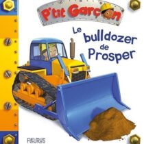 Découvrez « Le Bulldozer de Prosper », un livre cartonné ludique de la collection Petit Garçon. Un format idéal pour les enfants passionnés de camions et chantiers dès 2 ans.