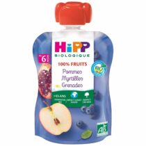 Hipp Bio 100% Fruits Pommes Myrtilles Grenades 90g – gourde dès 6 mois, sans sucres ajoutés, ingrédients bio, format pratique pour bébé.