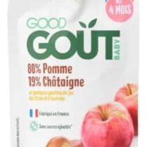 Good Goût Pomme Châtaigne Bio 120g – gourde bébé 4 mois