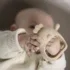 Nattou moufle de dentition silicone Argile bébé
