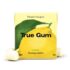 True Gum Citron sans Sucre 21g