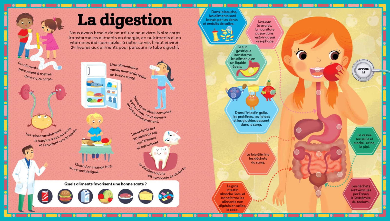Le Corps Humain -3- bebemaman