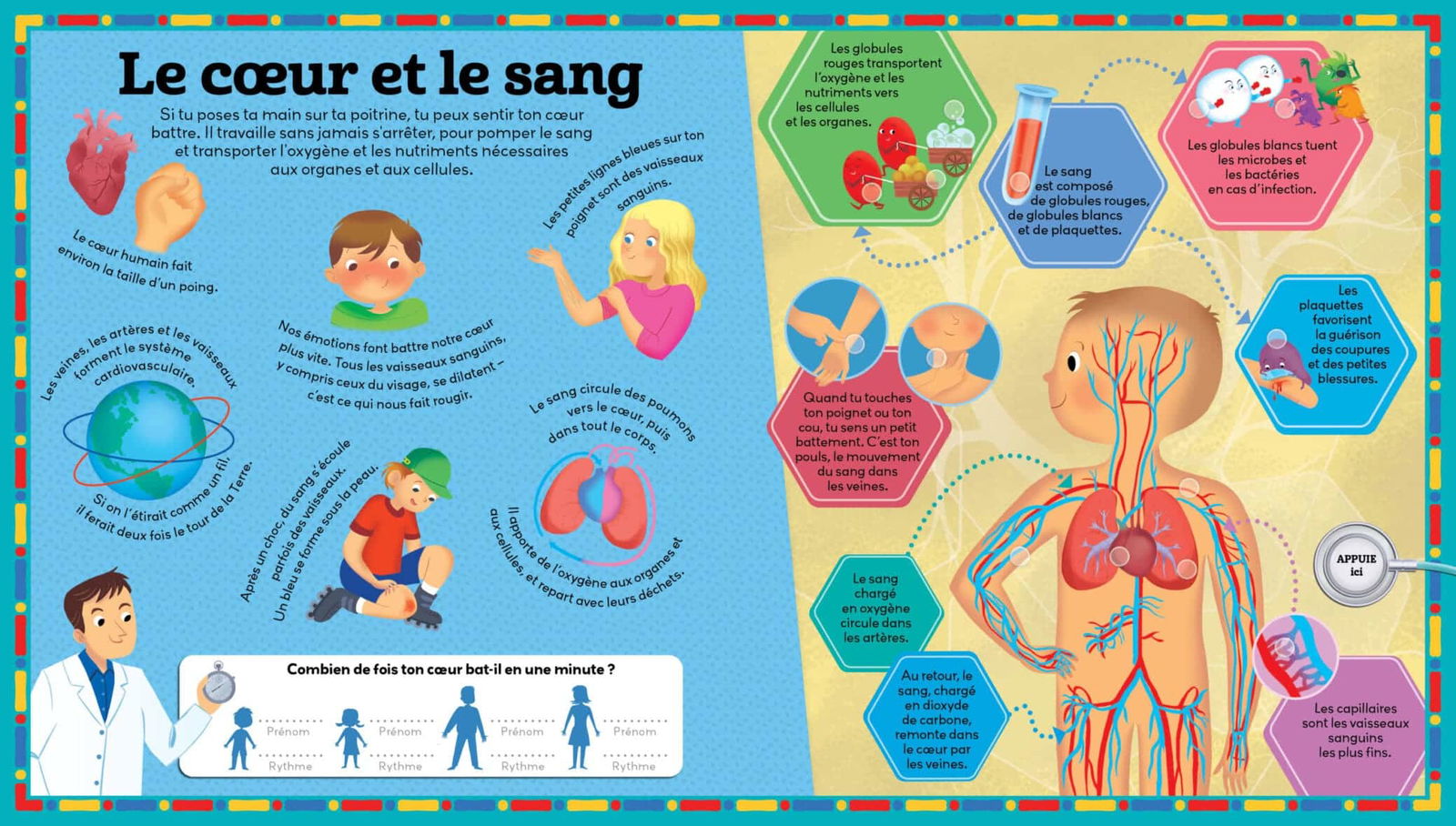Le Corps Humain -4- bebemaman