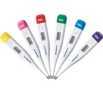 thermomètre digital Domotherm Th1