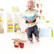 Hape Papillon à pousser jouet en bois