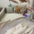 Mobile musical Tiny Love licorne pour lit bébé