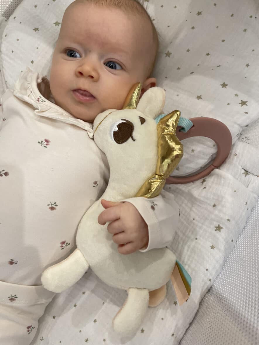 Tiny Love Hochet musical Smart Unicorn (4) bebemaman