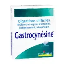 Boiron Gastrocynésine 60 comprimés digestion adulte