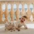 Coffret baby cologne Suavinex avec peluche blanc
