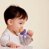 BBox distributeur fruits bébé silicone violet 4 mois