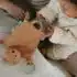 Eurekakids Coffret cadeau 3 pièces Ours Fantastique bébé
