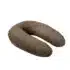 Doomoo Coussin d’Allaitement et Maternité Buddy Leopard Bronze