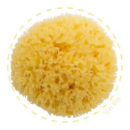 Bellini Éponge Naturelle avec Boite -2- bebemaman