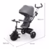 Kinderkraft Tricycle Aston 2 Plus 6en1 Gris