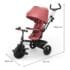 Kinderkraft Tricycle Aston 2 Plus 6en1 Rose