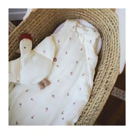 Domiva Gigoteuse 0-6mois 70cm Maternity Love -2- bebemaman