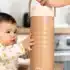 Béaba refroidisseur nomade lait maternel Pralin avec deux bouteilles de 240 ml
