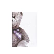 Domiva Mon Journal de Naissance livre souvenir bébé
