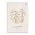 Jollein Lot de 3 Langes Gaze de Coton Soft Plumes 70x70 cm