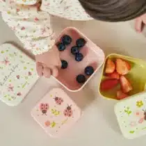 Miniland ensemble de 3 boîtes à goûter Papillon 230 ml 350 ml et 540 ml