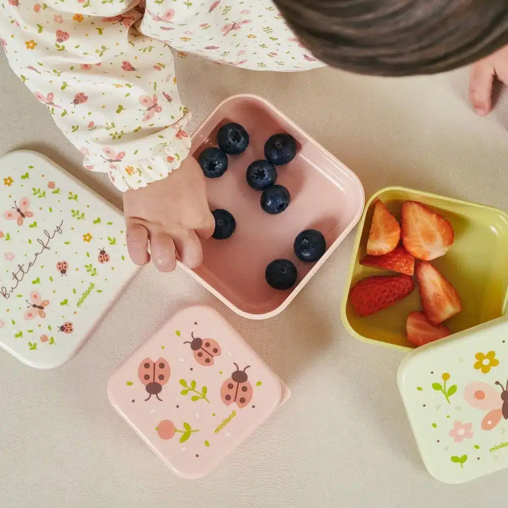 Miniland ensemble de 3 boîtes à goûter Papillon 230 ml 350 ml et 540 ml -2-bebemaman